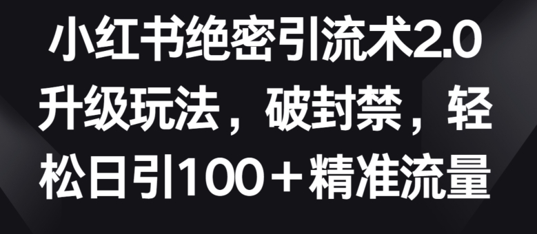 小红书绝密引流术2.0升级玩法，破封禁，轻松日引100+精准流量_菜菜笔记