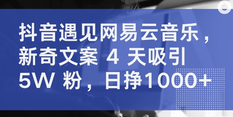 抖音遇见网易云音乐，新奇文案 4 天吸引 5W 粉，日挣1000+_菜菜笔记