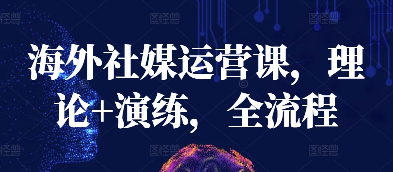 海外社媒运营课，理论+演练，全流程_菜菜笔记