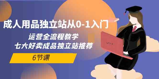 （10082期）成人用品独立站从0-1入门，运营全流程教学，七大好卖成品独立站推荐-6节课_菜菜笔记