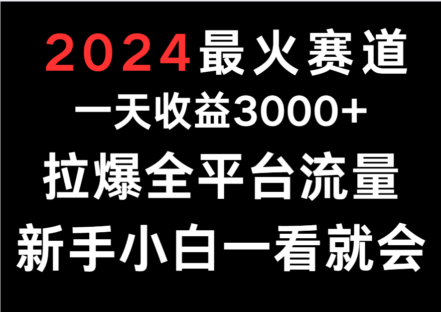 2024最火赛道，一天收一3000+.拉爆全平台流量，新手小白一看就会_菜菜笔记