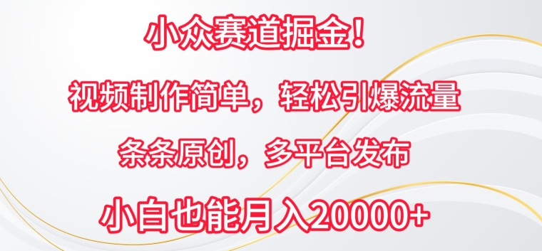 小众赛道掘金，视频制作简单，轻松引爆流量，条条原创，多平台发布_菜菜笔记