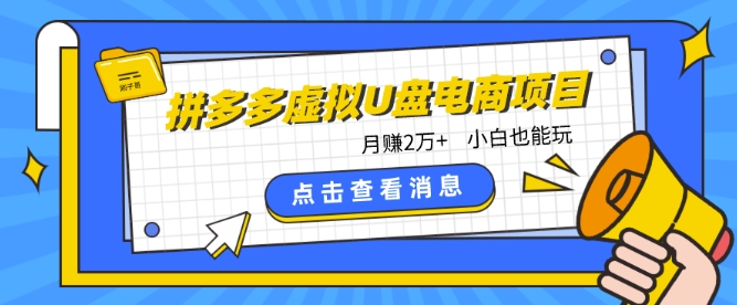 拼多多虚拟U盘电商红利项目：月赚2万+，新手小白也能玩_菜菜笔记