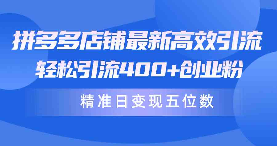 （10041期）拼多多店铺最新高效引流术，轻松引流400+创业粉，精准日变现五位数！_菜菜笔记