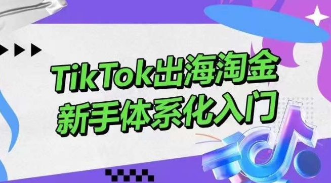 TikTok出海淘金，新手体系化入门，零基础快速入门，掌握短视频、直播带货等引流到变现的知识_菜菜笔记
