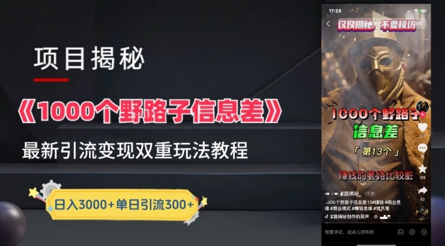 一千个野路子信息差最新玩法教程-变现+引流的玩法具体拆解_菜菜笔记