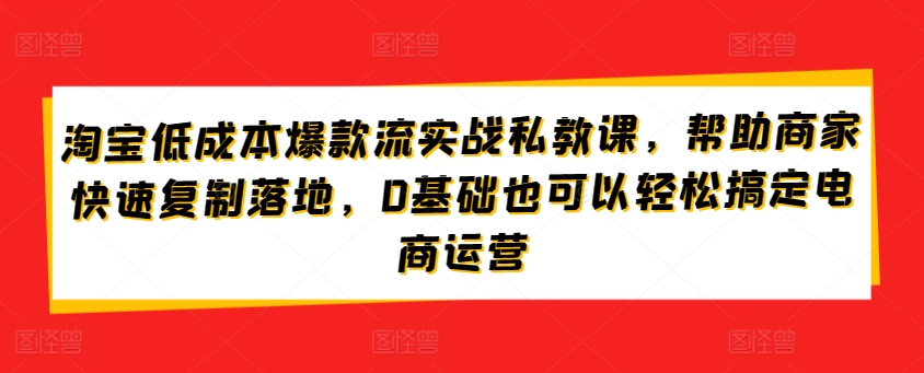 淘宝低成本爆款流实战私教课，帮助商家快速复制落地，0基础也可以轻松搞定电商运营_菜菜笔记
