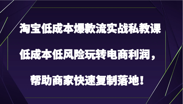 淘宝低成本爆款流实战私教课，低成本低风险玩转电商利润，帮助商家快速复制落地！_菜菜笔记