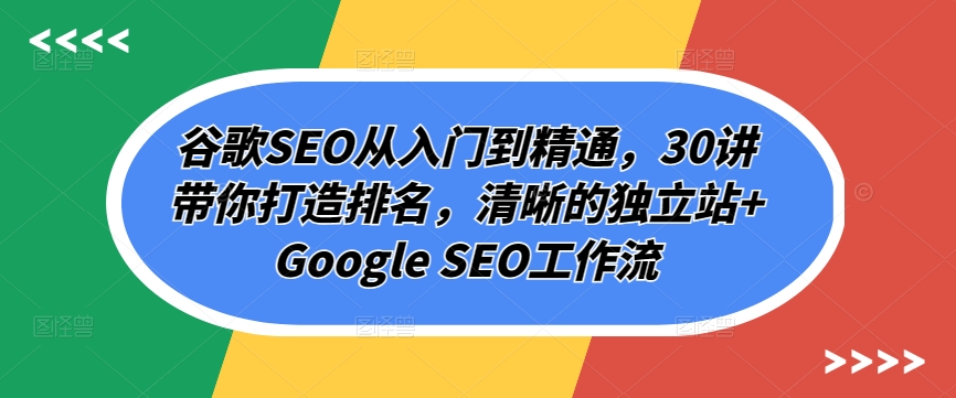 谷歌SEO从入门到精通，30讲带你打造排名，清晰的独立站+Google SEO工作流_菜菜笔记