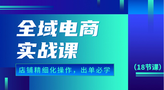 全域电商实战课，个人店铺精细化操作流程，出单必学内容（18节课）_菜菜笔记