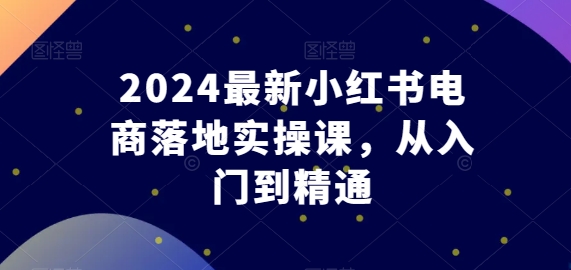 2024最新小红书电商落地实操课，从入门到精通_菜菜笔记