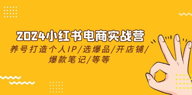2024小红书电商实战营，养号打造IP/选爆品/开店铺/爆款笔记/等等（24节）_菜菜笔记
