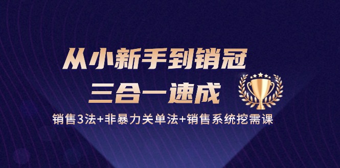 从小新手到销冠三合一速成：销售3法+非暴力关单法+销售系统挖需课 (27节)_菜菜笔记