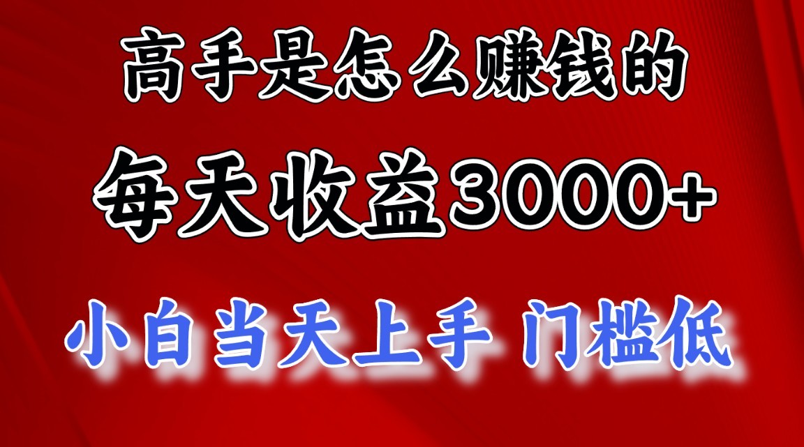 高手是怎么赚钱的，一天收益3000+，闷声发财项目，不是一般人能看懂的_菜菜笔记