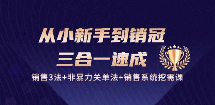 从小新手到销冠 三合一速成：销售3法+非暴力关单法+销售系统挖需课 (27节)_菜菜笔记