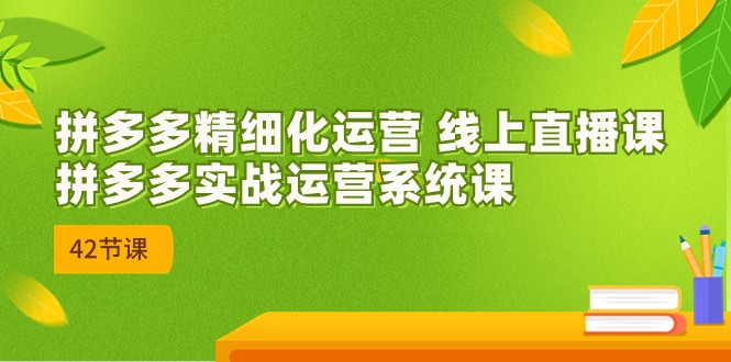 拼多多精细化运营 线上直播课：拼多多实战运营系统课（更新47节）_菜菜笔记