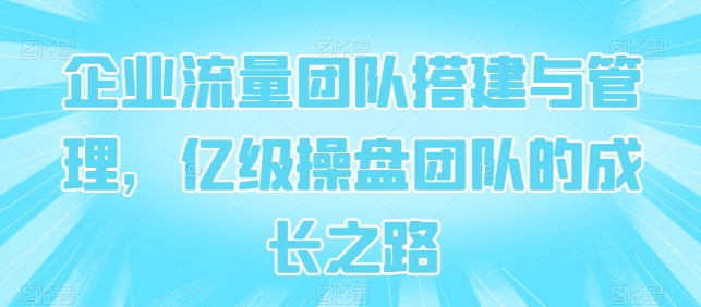 企业流量团队搭建与管理，亿级操盘团队的成长之路_菜菜笔记
