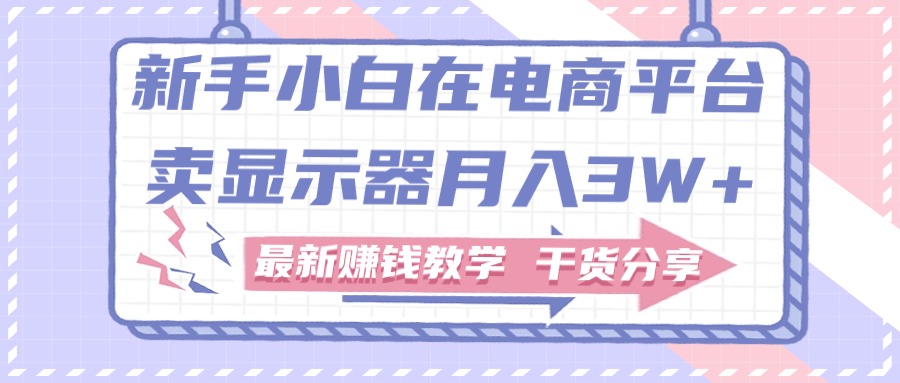 （11053期）新手小白如何做到在电商平台卖显示器月入3W+，最新赚钱教学干货分享_菜菜笔记