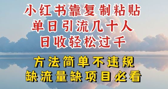 小红书靠复制粘贴单日引流几十人目收轻松过千，方法简单不违规【揭秘】_菜菜笔记