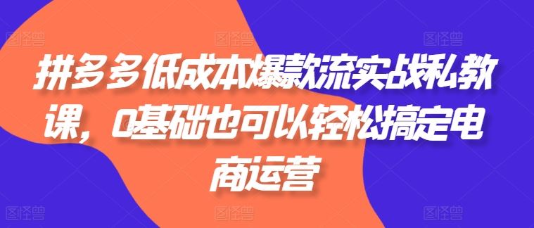 拼多多低成本爆款流实战私教课，0基础也可以轻松搞定电商运营_菜菜笔记