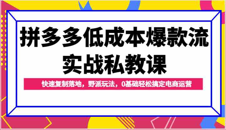 拼多多低成本爆款流实战私教课，快速复制落地，野派玩法，0基础轻松搞定电商运营_菜菜笔记