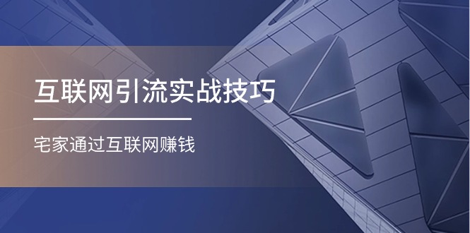 （11108期）互联网引流实操技巧(适合微商，吸引宝妈)，宅家通过互联网赚钱（17节）_菜菜笔记