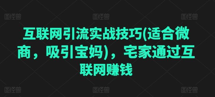 互联网引流实战技巧(适合微商，吸引宝妈)，宅家通过互联网赚钱_菜菜笔记