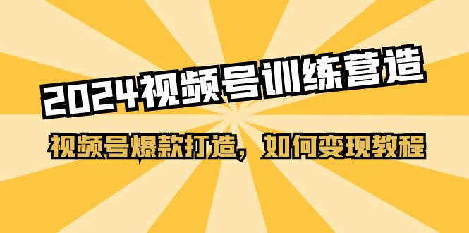 （11135期）2024视频号训练营，视频号爆款打造，如何变现教程（20节课）_菜菜笔记