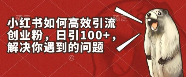 小红书如何高效引流创业粉，日引100+，解决你遇到的问题【揭秘】_菜菜笔记