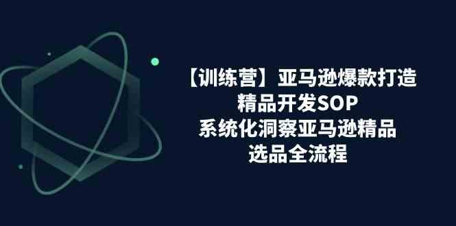 亚马逊爆款打造之精品开发SOP【训练营】，系统化洞察亚马逊精品选品全流程_菜菜笔记