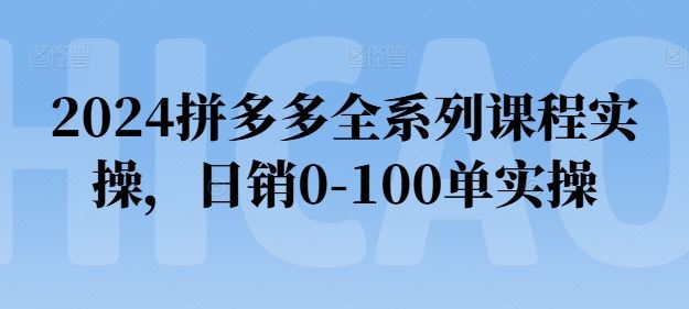 2024拼多多全系列课程实操，日销0-100单实操【必看】_菜菜笔记