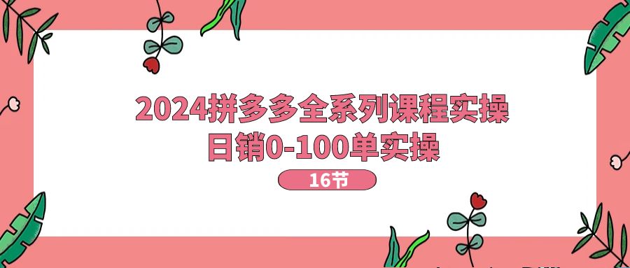（11222期）2024拼多多全系列课程实操，日销0-100单实操【16节课】_菜菜笔记