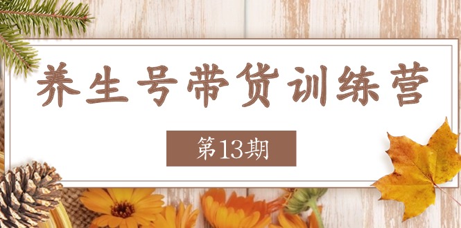 养生号带货训练营【第13期】收益更稳定的玩法，让你带货收益爆炸_菜菜笔记