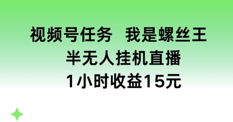 视频号任务，我是螺丝王， 半无人挂机1小时收益15元【揭秘】_菜菜笔记