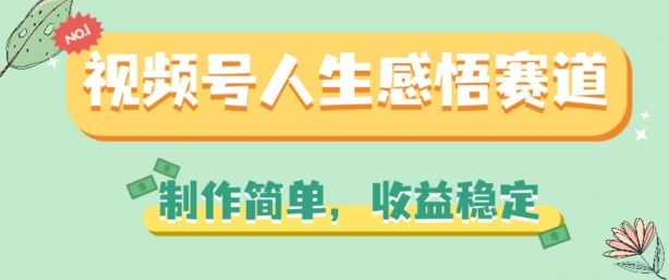 视频号人生感悟赛道，制作简单，收益稳定【揭秘】_菜菜笔记