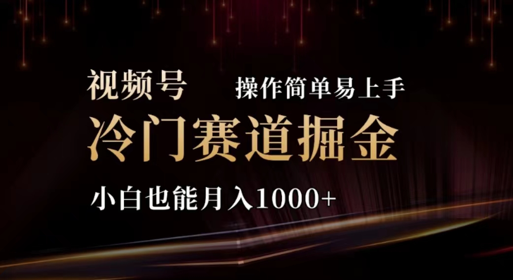 （11378期）2024视频号冷门赛道掘金，操作简单轻松上手，小白也能月入1000+_菜菜笔记