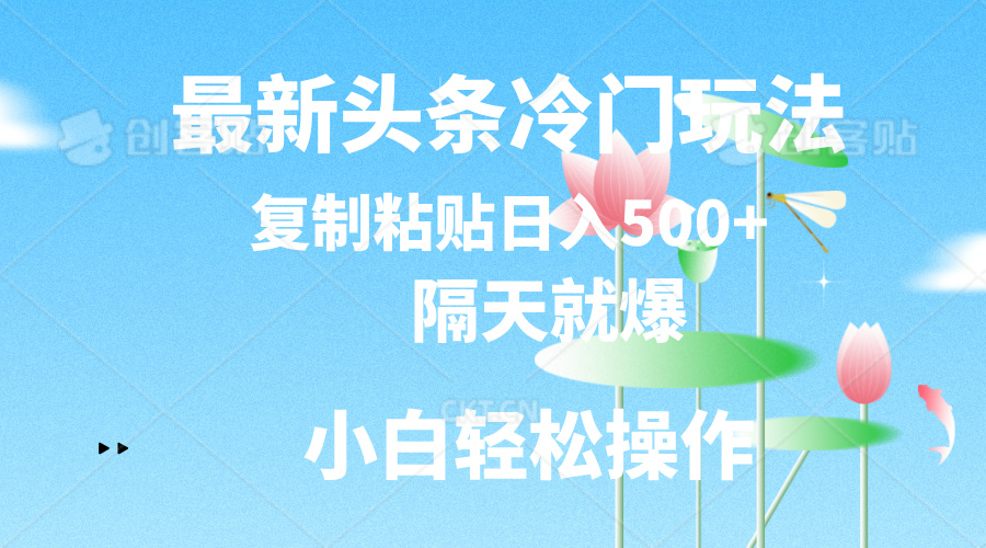 （11414期）最新头条冷门玩法，隔天就爆，复制粘贴日入500+_菜菜笔记