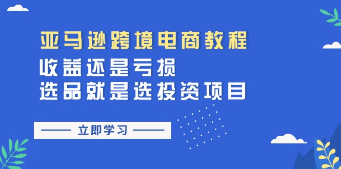 （11432期）亚马逊跨境电商教程：收益还是亏损！选品就是选投资项目_菜菜笔记