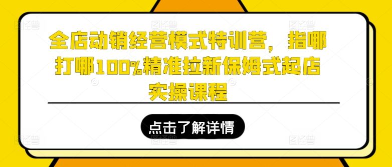 全店动销经营模式特训营，指哪打哪100%精准拉新保姆式起店实操课程_菜菜笔记