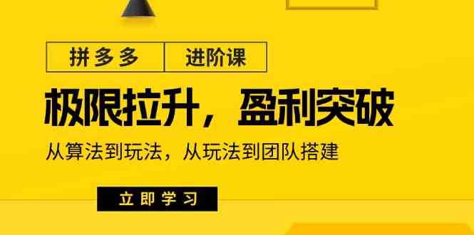 拼多多进阶课：极限拉升/盈利突破：从算法到玩法 从玩法到团队搭建（18节）_菜菜笔记