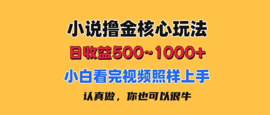 （11461期）小说撸金核心玩法，日收益500-1000+，小白看完照样上手，0成本有手就行_菜菜笔记