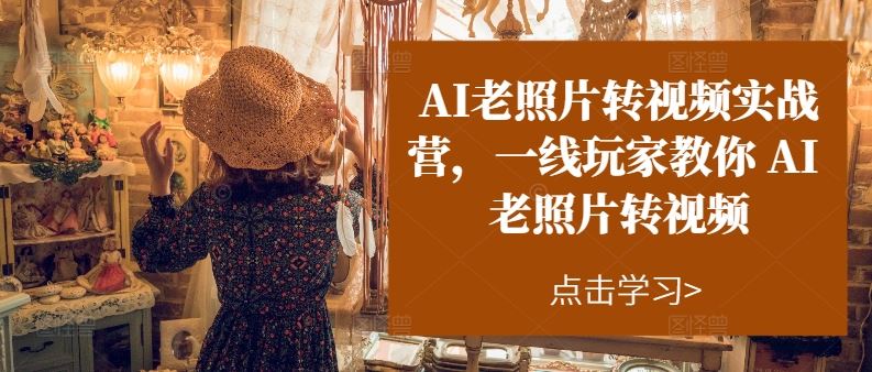 AI老照片转视频实战营，一线玩家教你AI老照片转视频_菜菜笔记