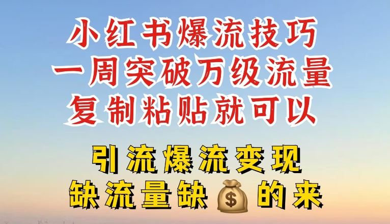 小红书爆流技巧，一周突破万级流量，复制粘贴就可以，引流爆流变现【揭秘】_菜菜笔记