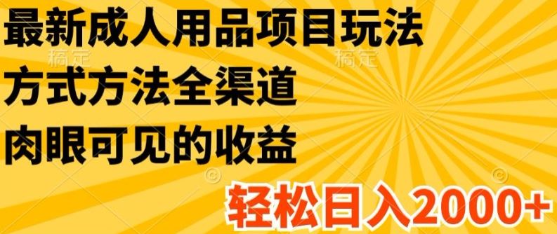 最新成人用品项目玩法，方式方法全渠道，轻松日入2K+【揭秘】_菜菜笔记
