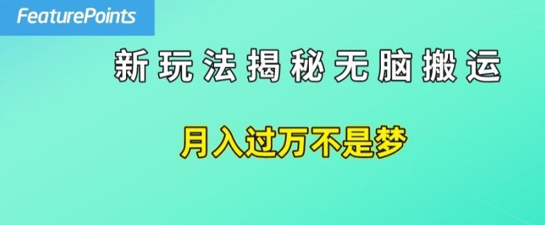 简单操作，每天50美元收入，搬运就是赚钱的秘诀【揭秘】_菜菜笔记