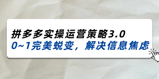 （11658期）2024_2025拼多多实操运营策略3.0，0~1完美蜕变，解决信息焦虑（38节）_菜菜笔记
