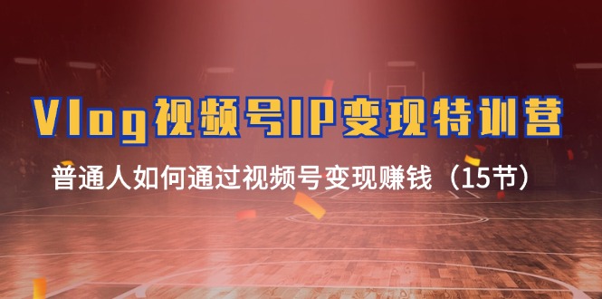 （11654期）Vlog 视频号IP变现特训营，普通人如何通过视频号变现赚钱（15节）_菜菜笔记