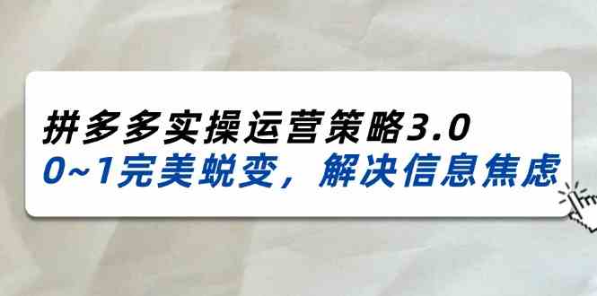 2024-2025拼多多实操运营策略3.0，0~1完美蜕变，解决信息焦虑（38节）_菜菜笔记