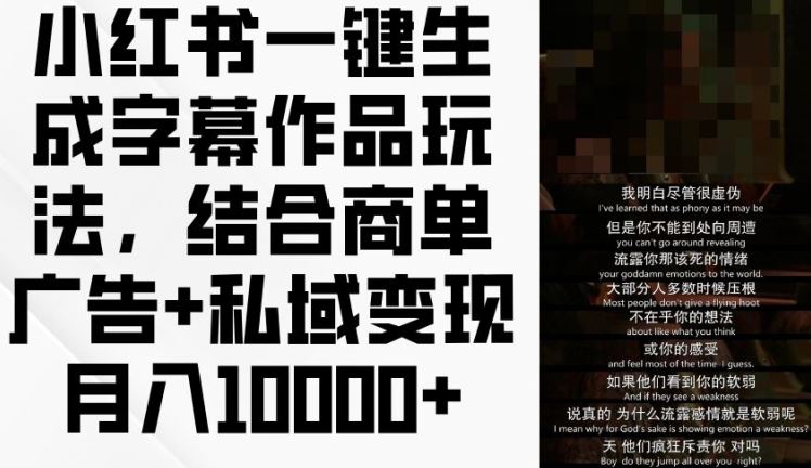 小红书一键生成字幕作品玩法，结合商单广告+私域变现月入1w+【揭秘】_菜菜笔记