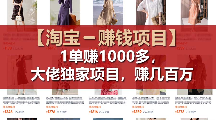 （11685期）【淘宝赚钱项目】1单可赚1000多，大佬独家项目，年赚几百万_菜菜笔记